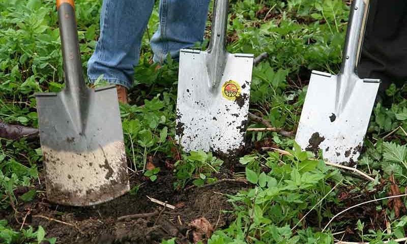 Three shovels on soil