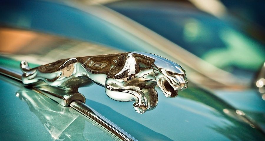 Jaguar car symbol