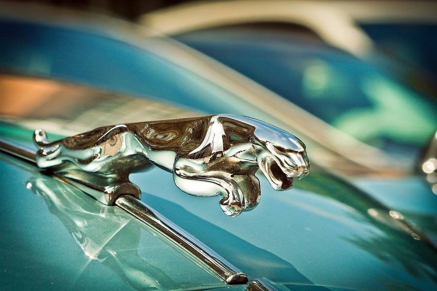 Jaguar car symbol